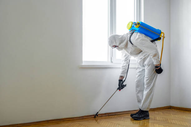 Best Affordable Pest Control Services  in Oak Hills, OR